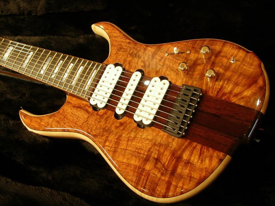 Photo by Funky Asians with the username @PaulBoss,  September 2, 2013 at 9:55 PM and the text says 'guitar-porn:

EIR 8-String.
Bob sent in this powerful shot of the next guitar on his shopping list, saying ”EIR guitars…Phoenix AZ…WANT!!!!!”

Great instrument'