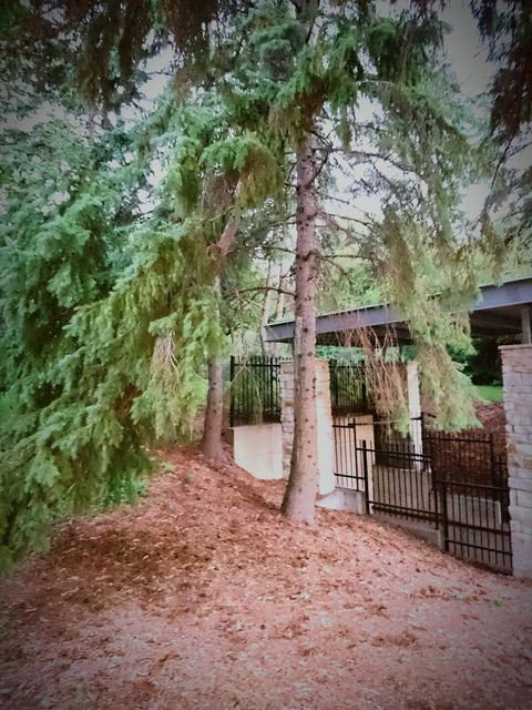 Photo by bbpnp with the username @bbpnp,  September 14, 2016 at 3:04 AM and the text says 'Parc, Piex, Montreal, Canada, Dog Walk, Nature, Cave, Outdoors, Tree, Growth, Branch, Day, Outdoors, Tranquility, Entrance, Nature, Tranquil Scene, Footpath, No People, The Way Forward, Architectural Column, History, Scenics, Green Color by clovis..'