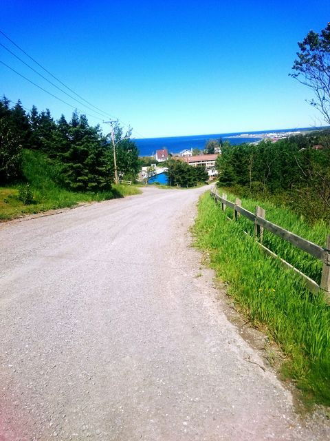 Photo by bbpnp with the username @bbpnp,  August 16, 2016 at 1:56 PM and the text says 'Taking Photos, Grass, Trees And Sky, Sea Line, Hill, Road, sunny Colour Of Life, Nature, Capchat Gaspesie, In Laws, Vacation by clovis jonathan gravel on EyeEm #TakingPhotos  #Grass  #TreesAndSky  #SeaLine  #Hill  #Road  #ColourOfLife  #Nature..'