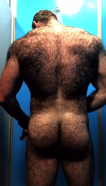 Yahoo directory hairy bears