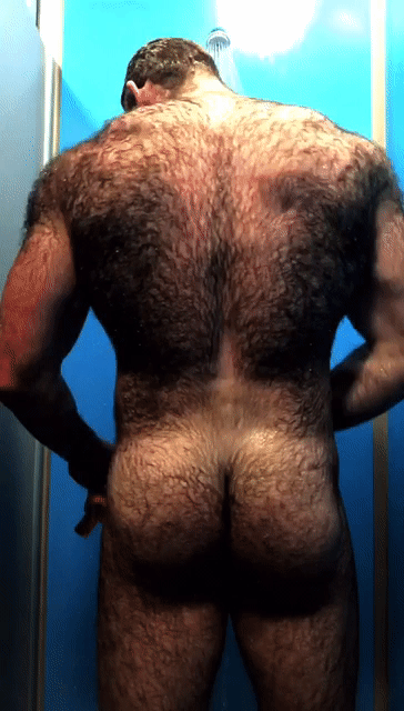 Photo by Hairbear with the username @Hairbears, who is a verified user,  July 6, 2019 at 6:57 PM. The post is about the topic Gay hairy bears