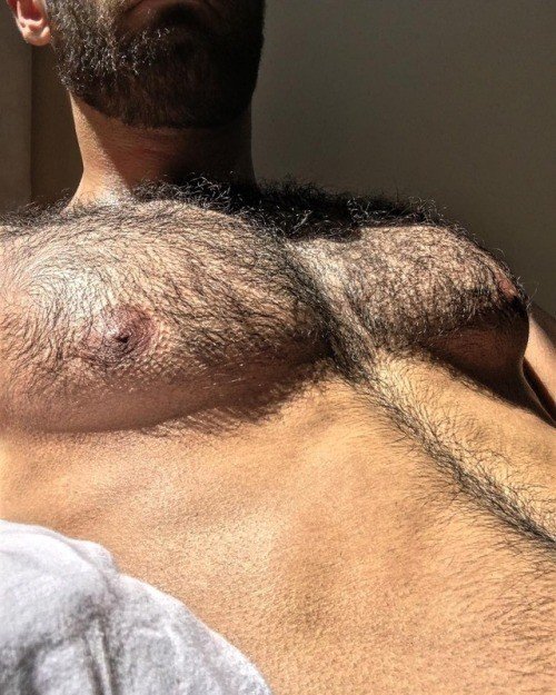 Photo by Hairbear with the username @Hairbears, who is a verified user,  April 25, 2019 at 9:52 AM. The post is about the topic Gay hairy bears