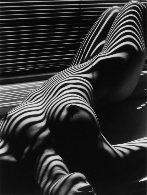 Photo by SHADES with the username @SHADES,  July 26, 2016 at 9:08 PM and the text says 'onlyoldphotography:

Lucien Clergue: Nu zébré, 1997'