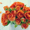 orangeroses12