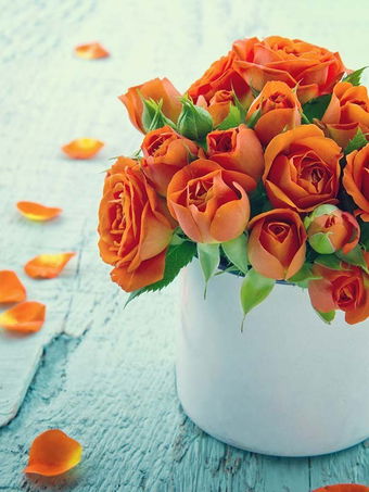 orangeroses12