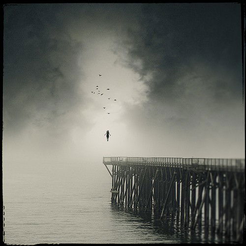 Photo by Sable with the username @SablexXx, who is a verified user,  June 6, 2011 at 7:35 PM and the text says 'Believe In Wonders by Midnight - digital #Illustration  #Landscape  #Architecture  #Black  #and  #white  #Pier  #Birds  #Flying  #Believe  #in  #Wonders  #Midnight  #-  #digital'