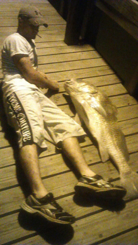 Photo by KingPeanut with the username @KingPeanut,  September 8, 2016 at 6:18 PM and the text says 'Loving the Salt-Life!! Got some good Catches this year!! #saltlife  #summerfishing  #nightfishing  #blackdrum  #uglystik  #redfish  #holiday  #beach  #rockport  #my  #life  #personalperspective'