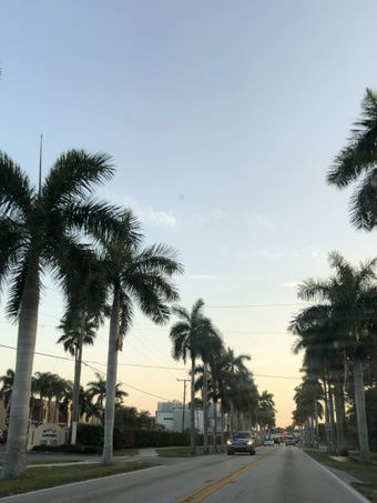 swfloridaguy81