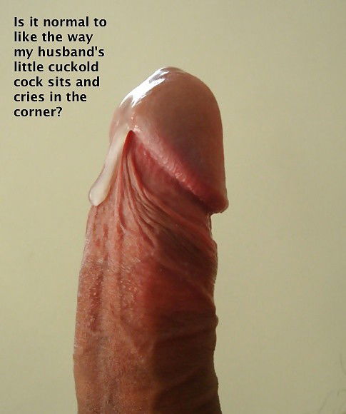 Photo by johndlokcuc with the username @johndlokcuc,  January 15, 2015 at 6:48 PM and the text says 'Yes.  And if it isn&rsquo;t crying and weeping enough you are authorized to spank it every now and then to make sure that it knows who is boss. #captions  #drippy  #cuckold'