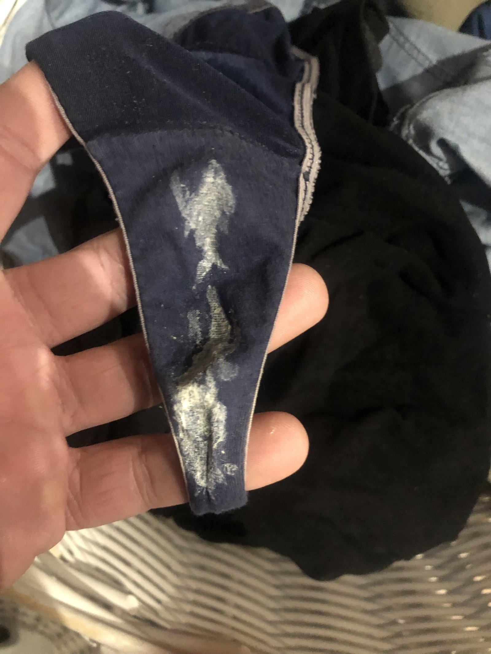 Photo by Cheatingwife101 with the username @Jkd082,  July 11, 2019 at 11:35 PM. The post is about the topic Cum panties and the text says 'Wifes panties for a day, normal or cum??'