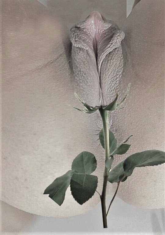 Photo by Cfrancy69 with the username @Cfrancy69,  April 12, 2022 at 6:02 AM. The post is about the topic Pussy Selfie and the text says 'My flower'