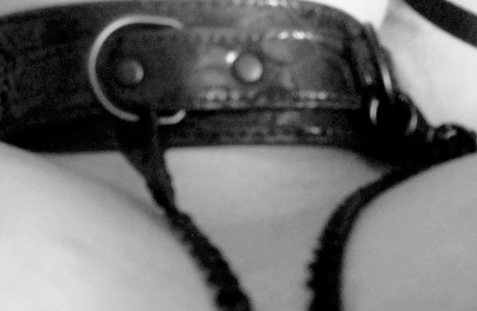 Photo by MiHiWhore with the username @MiHiWhore,  July 7, 2019 at 1:59 AM. The post is about the topic BDSM and the text says 'Collared for Daddy'