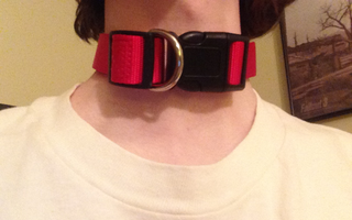 Photo by erinbutt with the username @erinbutt,  March 20, 2017 at 2:03 AM and the text says 'New collar, yay. Now I can finally go awoo in the shower. #me'