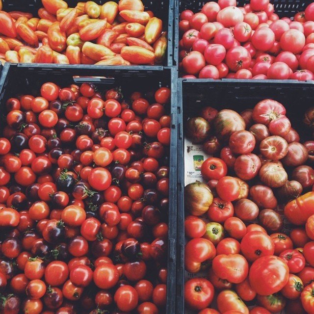Photo by imaginett with the username @imaginett, who is a verified user,  July 27, 2014 at 7:12 PM and the text says 'ecodesignprojectdesign:

Taking some  with me
#farmersmarket#organic#tomatoes#sundayfunday'