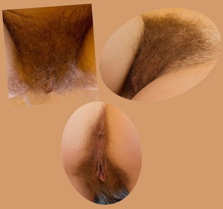 Photo by PistolPetePetite with the username @petelilpeen, who is a verified user,  June 7, 2023 at 4:12 PM. The post is about the topic Hairy Cunts Rock! and the text says 'One Hot Hairy Cunt - Three different views'