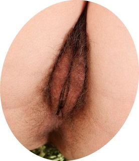 Photo by PistolPetePetite with the username @petelilpeen, who is a verified user,  May 15, 2023 at 3:15 PM. The post is about the topic Hairy Cunts Rock! and the text says 'Hairy 01 - Nice thick labia with a good bristlely hair coating'