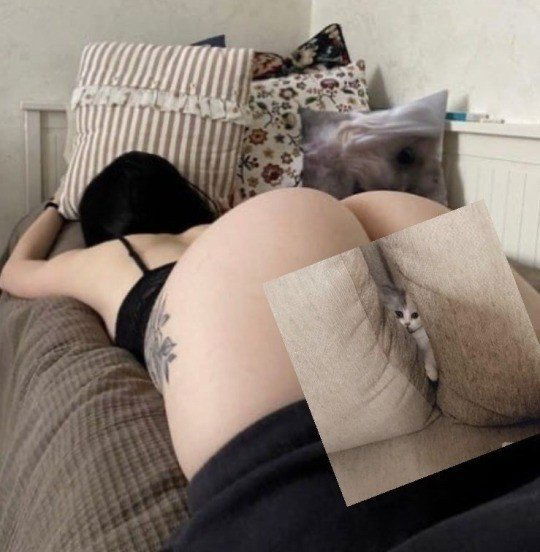 Photo by Ruinedcarpet with the username @Ruinedcarpet,  May 26, 2022 at 10:13 AM. The post is about the topic RC's Ass / Butt Kingdom and the text says '#Ass #Funny #Pussy #Rearview #Butt #Amateur #Pale #Babe #DarkHair #Laying #InBed #Tattoo #Peach #Brunette #DarkHaired #PaleGirl #Bedroom #Kitten #BubbleButt #Homemade'