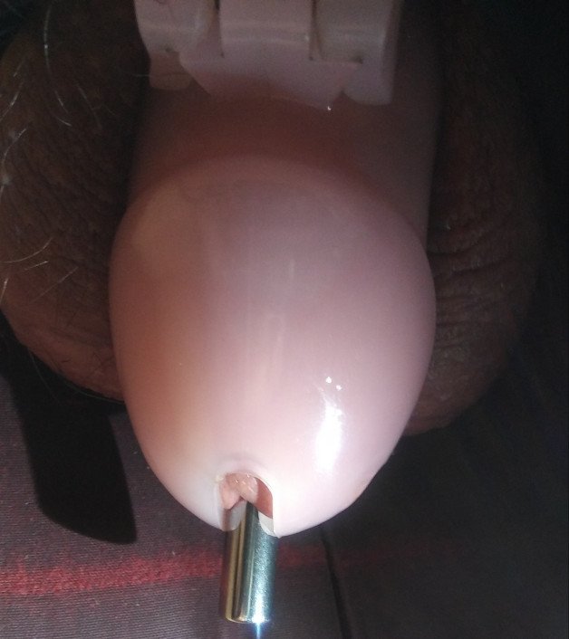 Photo by BBC420Sissy with the username @Bbc420sissy, who is a verified user,  March 15, 2021 at 1:31 PM. The post is about the topic Sissy Chastity and the text says 'In my sissy cage with a bit of sounding'