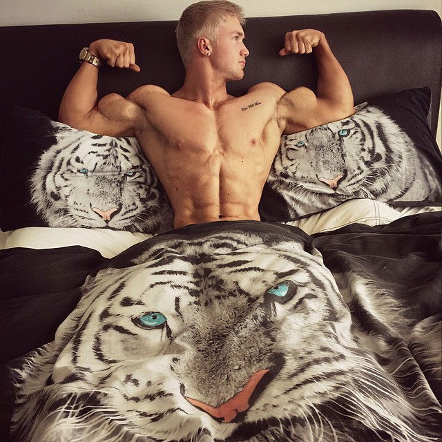 Photo by TheMuscleMaker with the username @TheMuscleMaker,  December 19, 2015 at 5:12 PM and the text says '&lsquo;Fuck, I&rsquo;m sexy&rsquo; I thought as I flexed my rock hard biceps. I love laying in bed indulging in a little self worship&hellip;but the tiger bed sheets make my day haha. But for my boyfriend it&rsquo;s not the tiger on the sheets that he..'