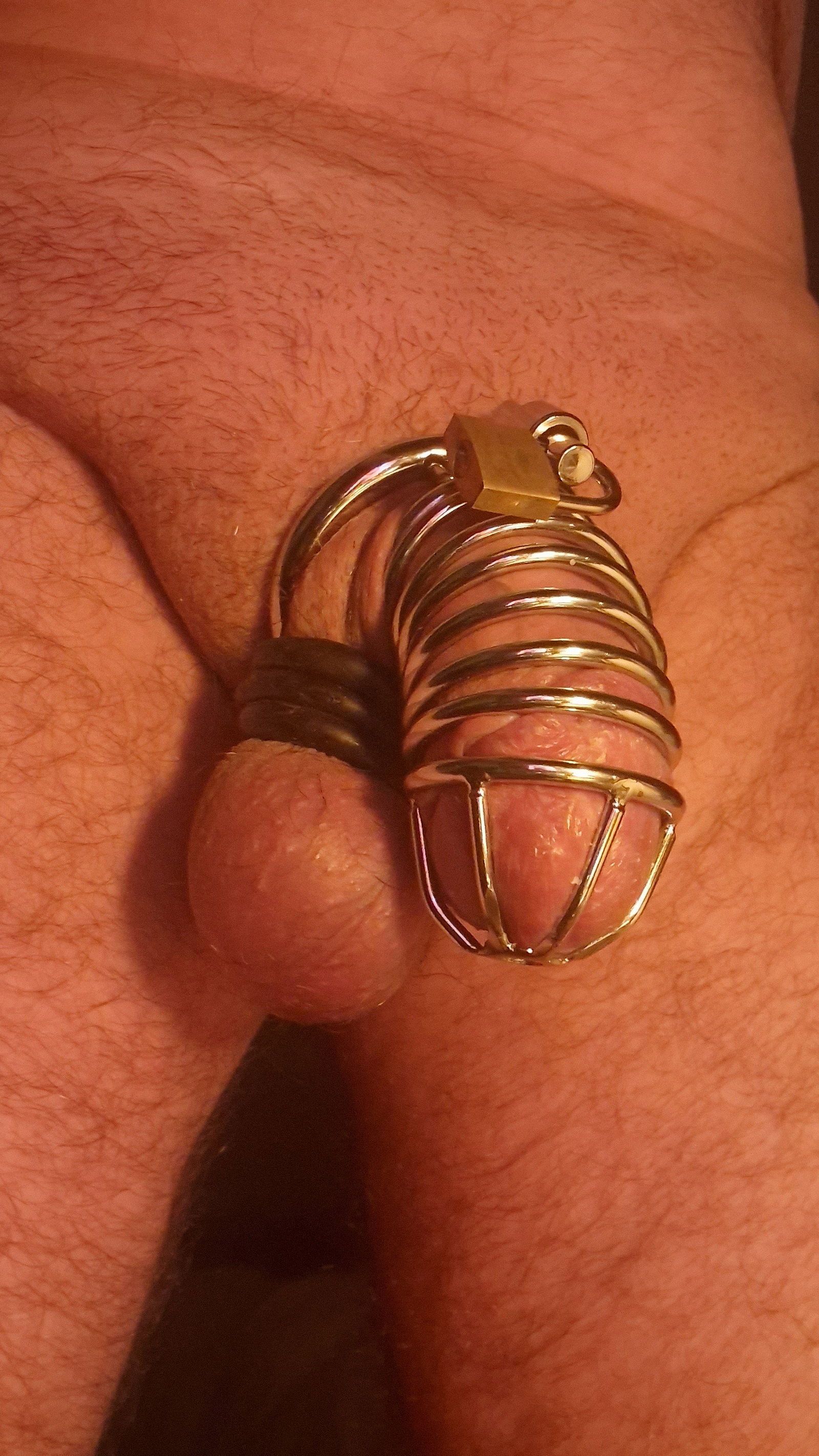 Album by Hunter212gaz with the username @Hunter212gaz,  February 15, 2023 at 9:10 PM. The post is about the topic Caged cock and the text says 'why does wearing this make me so horny!'