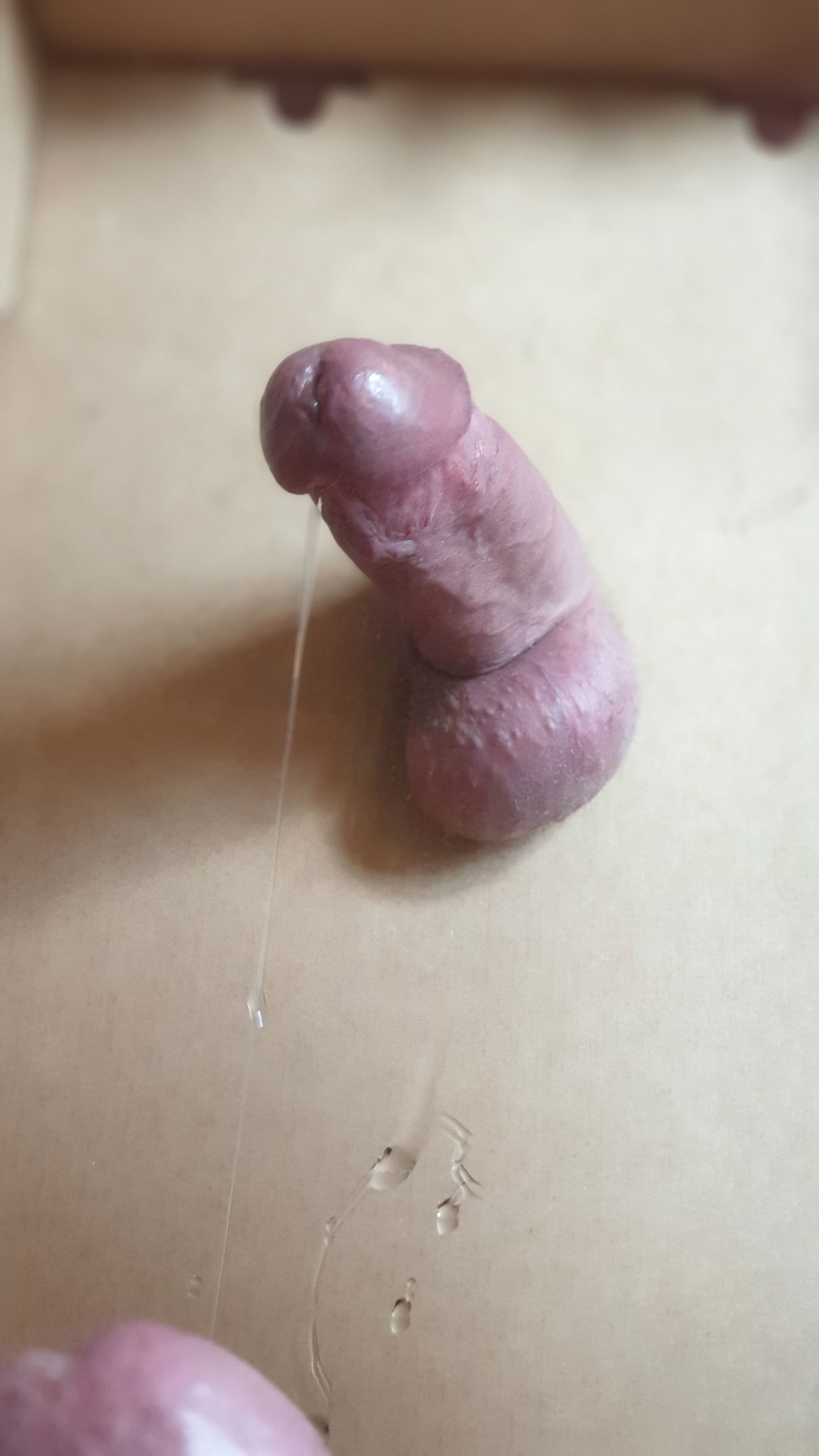 Album by Hunter212gaz with the username @Hunter212gaz,  May 12, 2019 at 4:39 PM. The post is about the topic Edge Goon Leak Never Cum Blue Balls and the text says 'The start of an interesting session yesterday ending with cumming twice and staying hard inbetween'