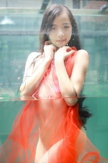 Photo by Tao-Jia-21