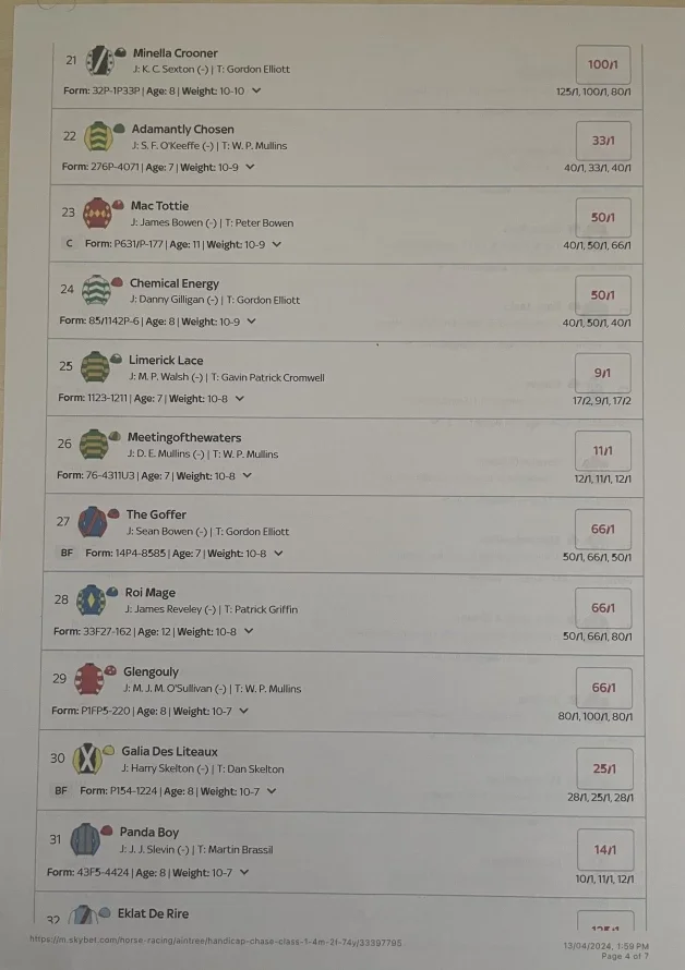 Photo by Hottiebb95 studio with the username @hottiebb95, who is a star user,  April 13, 2024 at 1:28 PM and the text says 'Pick a horse for me bet for the Grand National  2024 here is the list check it out leave the numbers in the comments which position you want me to bet on'
