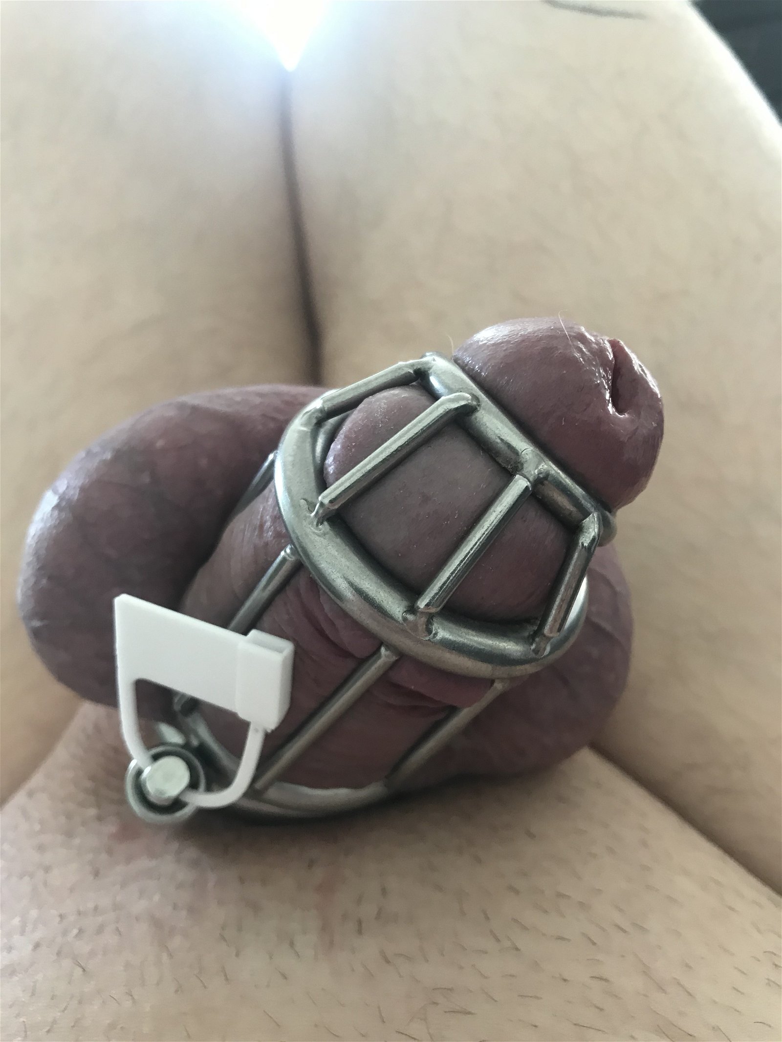 Photo by vuduj with the username @vuduj, who is a verified user,  May 27, 2019 at 12:49 PM. The post is about the topic Chastity and the text says 'Only one week in...the pain, the pleasure!'