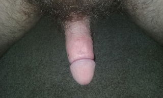 Album by AgentMan with the username @AgentMan,  July 3, 2019 at 9:45 AM. The post is about the topic Rate my pussy or dick and the text says 'Hey, just trying to get my exhibionist self out there, any commentary is fine and message me if youd like more personalized pics'