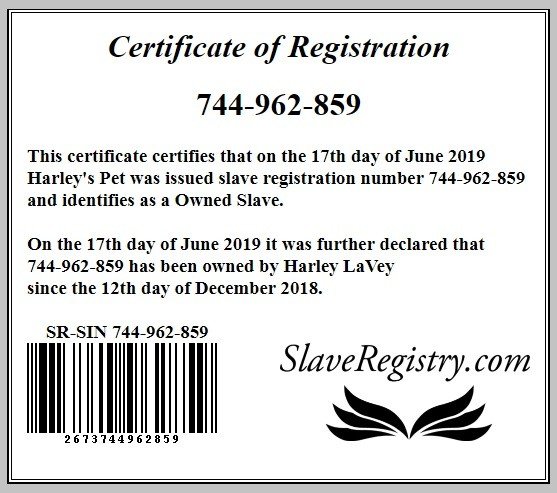 Photo by Harley's Pet with the username @HarleysPet,  June 19, 2019 at 10:40 PM. The post is about the topic Female Supremacy and the text says 'My owner, Harley LaVey, doesn't care about this silly slave registration thing... but it feels so good to me! 
#Femdom #Findom #CollaredSlave #owned #beta'
