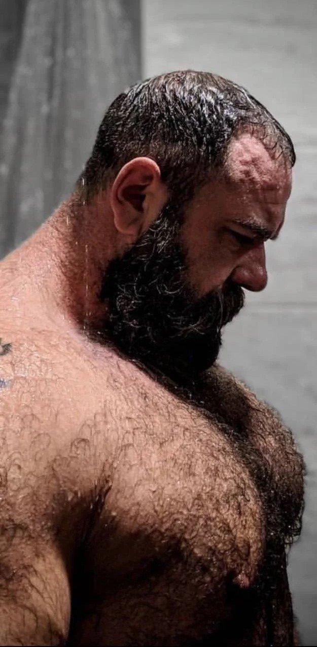 Photo by Hairybiswinger with the username @Hairybiswinger,  October 25, 2023 at 4:44 AM. The post is about the topic Masculinity that makes me hard and horny and the text says 'This stud can fuck me anytime while I rub my hands all over the superb solid hairy chest'