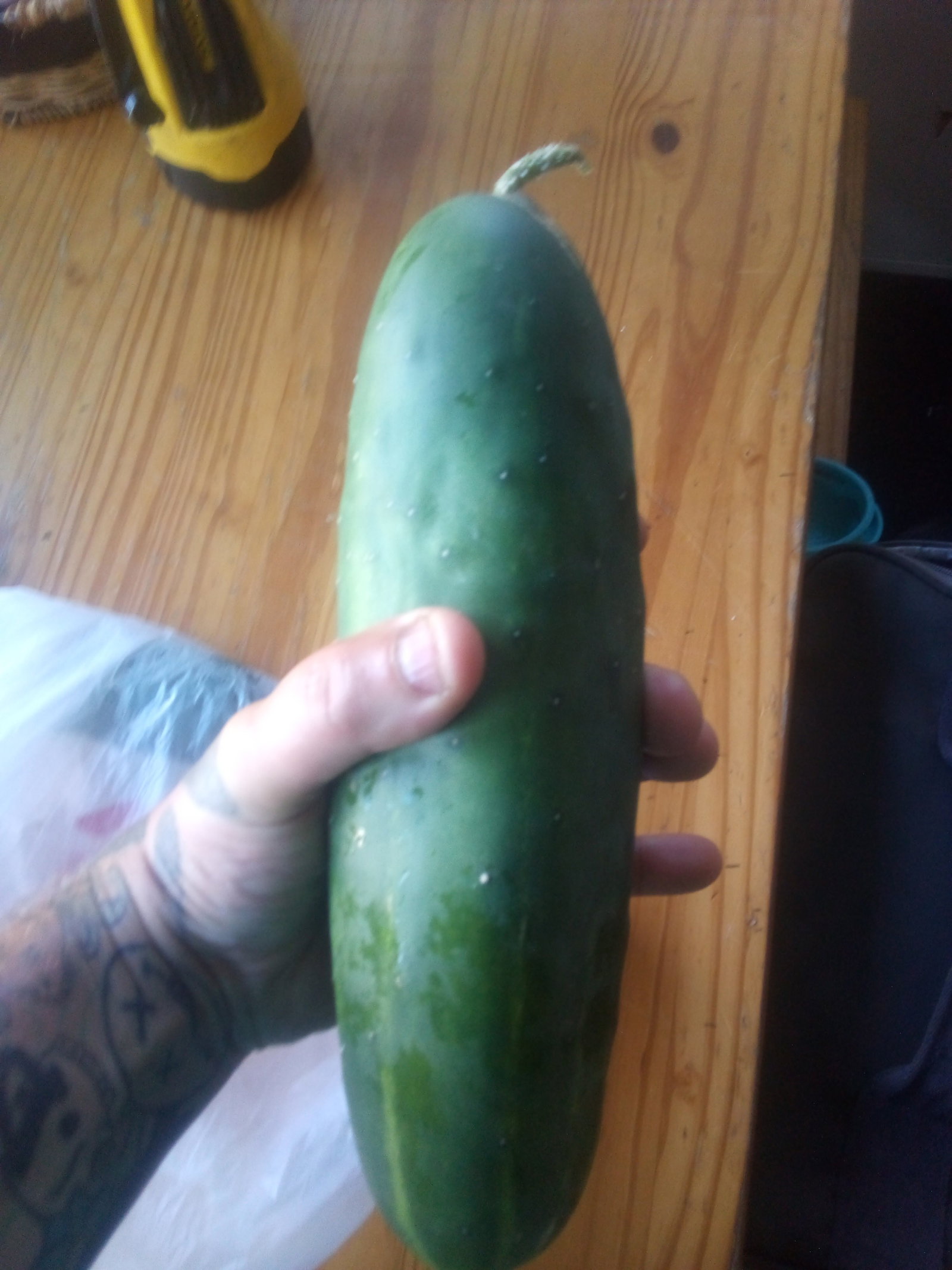 Photo by Slut wife and friend with the username @Tank85,  August 9, 2019 at 9:49 AM. The post is about the topic Pussy and the text says 'wife tried to fit this monster cucumber in her pussy'
