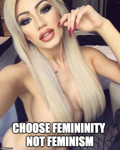 Photo by YourSluttyBimbo with the username @YourSluttyBimbo,  November 4, 2018 at 2:30 AM and the text says 'femininenotfeminism:choose femininity not feminism

Every day.  #femininity  #antifeminist  #anti  #feminist  #bimbo  #bimbo  #life  #bimbo  #slut  #dumb  #bimbo  #tradional  #roles  #male  #superiority  #female  #inferiority'