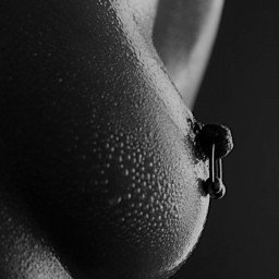 Shared Photo by Zillimax 2024 with the username @Zillimax,  February 12, 2024 at 6:25 PM. The post is about the topic Pierced Nipples and the text says 'beautiful'