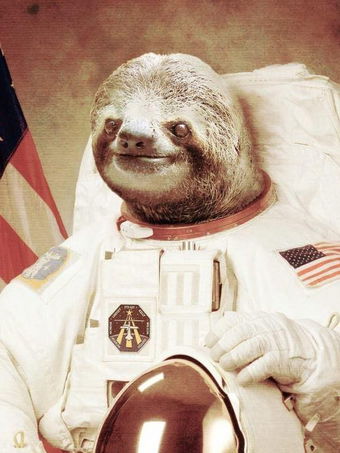 SpaceSloth