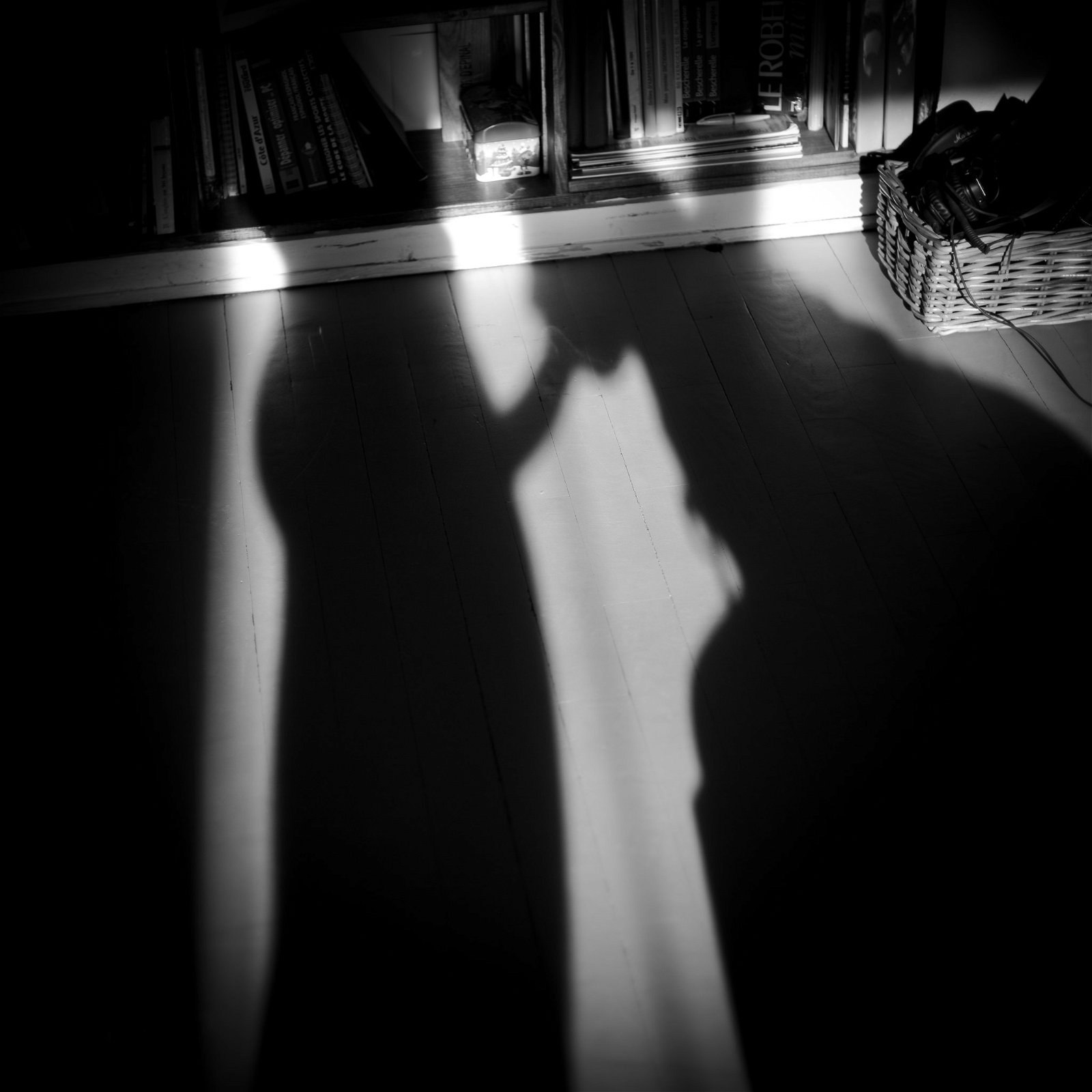 Photo by Satiro Danzante with the username @SatiroDanzante, who is a verified user,  December 21, 2019 at 10:38 AM and the text says 'Our shadows'