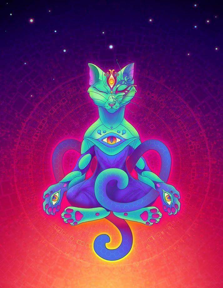Photo by TheWhiteLight with the username @TheWhiteLight,  November 11, 2017 at 10:04 AM and the text says 'devilsadvocate678:

#psyCHEdeliC #LsD #AciDS #drOps #bloTTer #triPPy #viSioN #ConscIOUsnesS #drUgs #vibRAtion #positiveVIBES #tRIp #chemiCALS #cAt #CANdyfLIP'