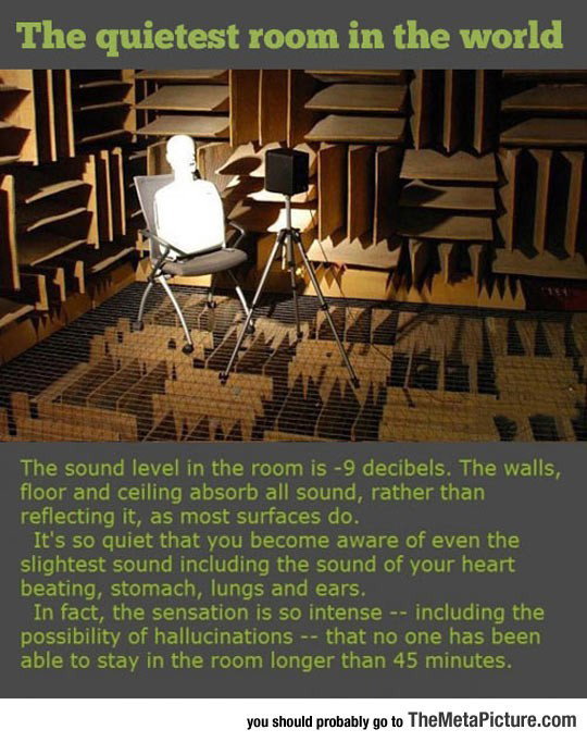 Photo by TheWhiteLight with the username @TheWhiteLight,  July 4, 2017 at 4:51 PM and the text says 'srsfunny:

The Quietest Room In The World'