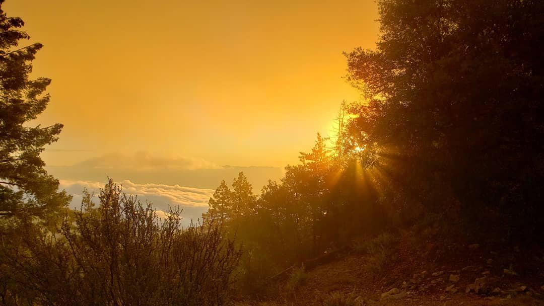 Photo by Sixfive with the username @Sixfive, who is a verified user,  September 27, 2019 at 2:49 PM. The post is about the topic Landscape scenery and the text says 'Good morning from Mount Lemmon in Arizona'