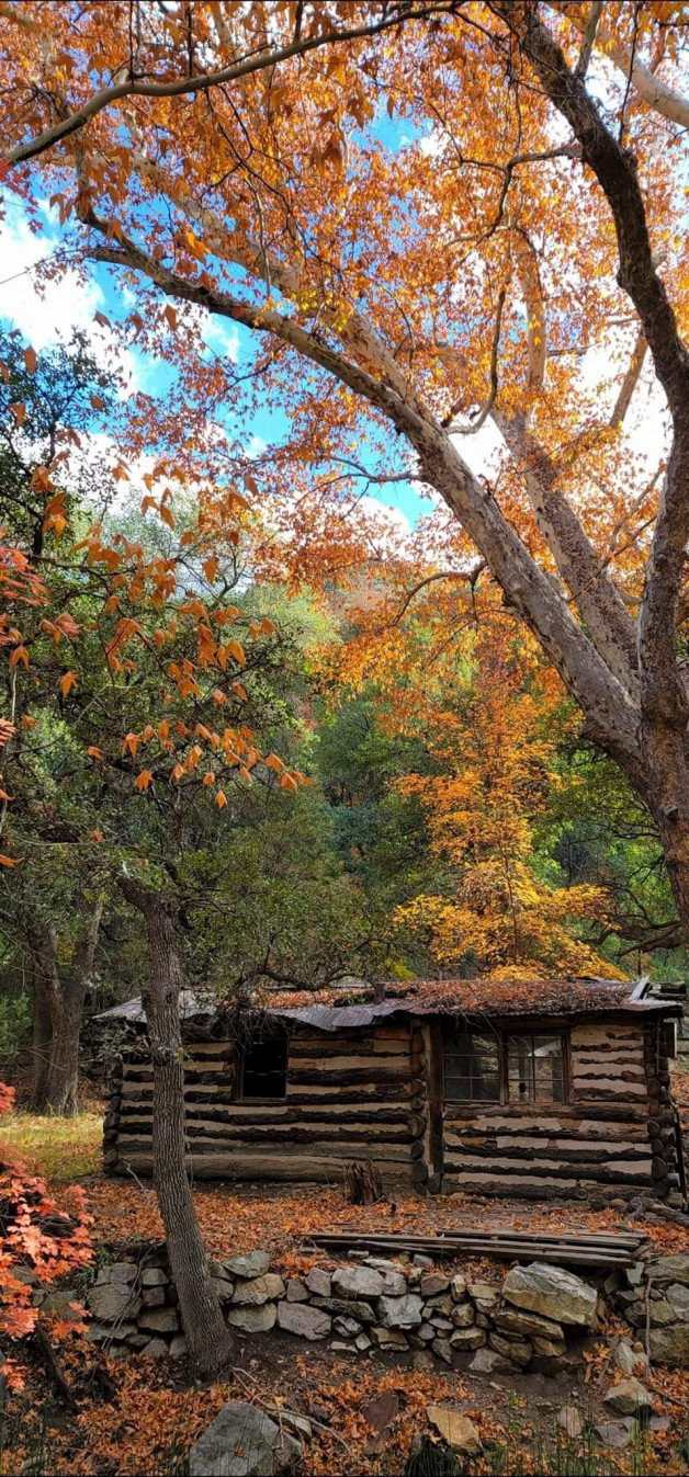 Photo by Sixfive with the username @Sixfive, who is a verified user,  November 23, 2023 at 7:11 PM. The post is about the topic Landscape scenery and the text says 'Fall colors in Southeastern Arizona in Ramsey canyon near our home. Tap on picture for full scene. I took these pictures'