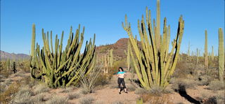 Album by Sixfive with the username @Sixfive, who is a verified user,  February 7, 2021 at 1:03 AM. The post is about the topic Arizona Wives & Gf's and the text says 'A little fun in the Arizona desert today. Took a day trip to Organ Pipe National Monument. Beautiful place'