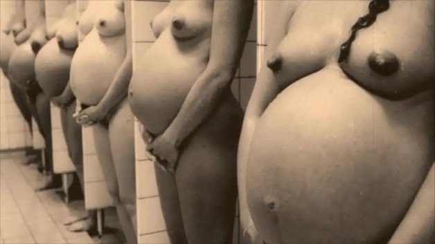 Watch the Photo by LePigeonVolant with the username @LePigeonVolant, posted on November 22, 2022. The post is about the topic Pregnant. and the text says 'From the web'