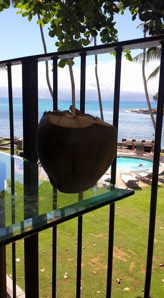 Photo by topjames with the username @topjames,  July 8, 2015 at 1:24 AM and the text says 'Fresh coconut margarita + view.  I love Maui! #maui  #hawaii  #vacation'