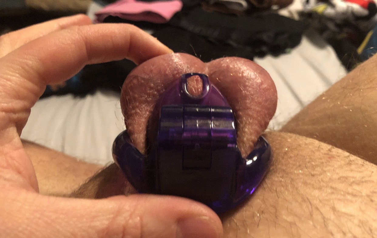 Photo by Njcuckhubs with the username @Njcuckhubs,  February 3, 2020 at 5:40 AM. The post is about the topic Cuckold and the text says 'this is me, do you like me better locked or unlocked? #subhub #sissy #cuckold #hotwife #cheatonme #nj #flr'