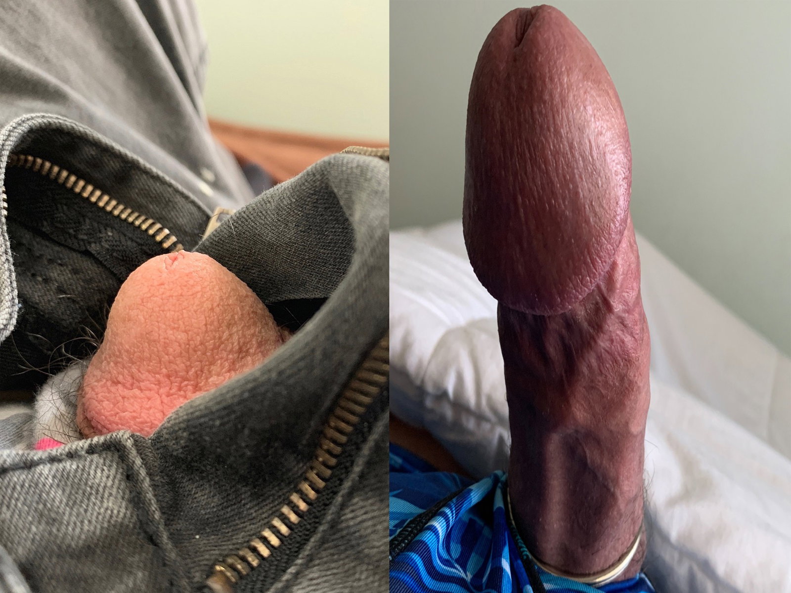 Photo by Danielio with the username @Danielio, who is a verified user,  May 12, 2020 at 9:47 PM. The post is about the topic Dicks: Soft vs Hard and the text says 'Soft vs Hard'