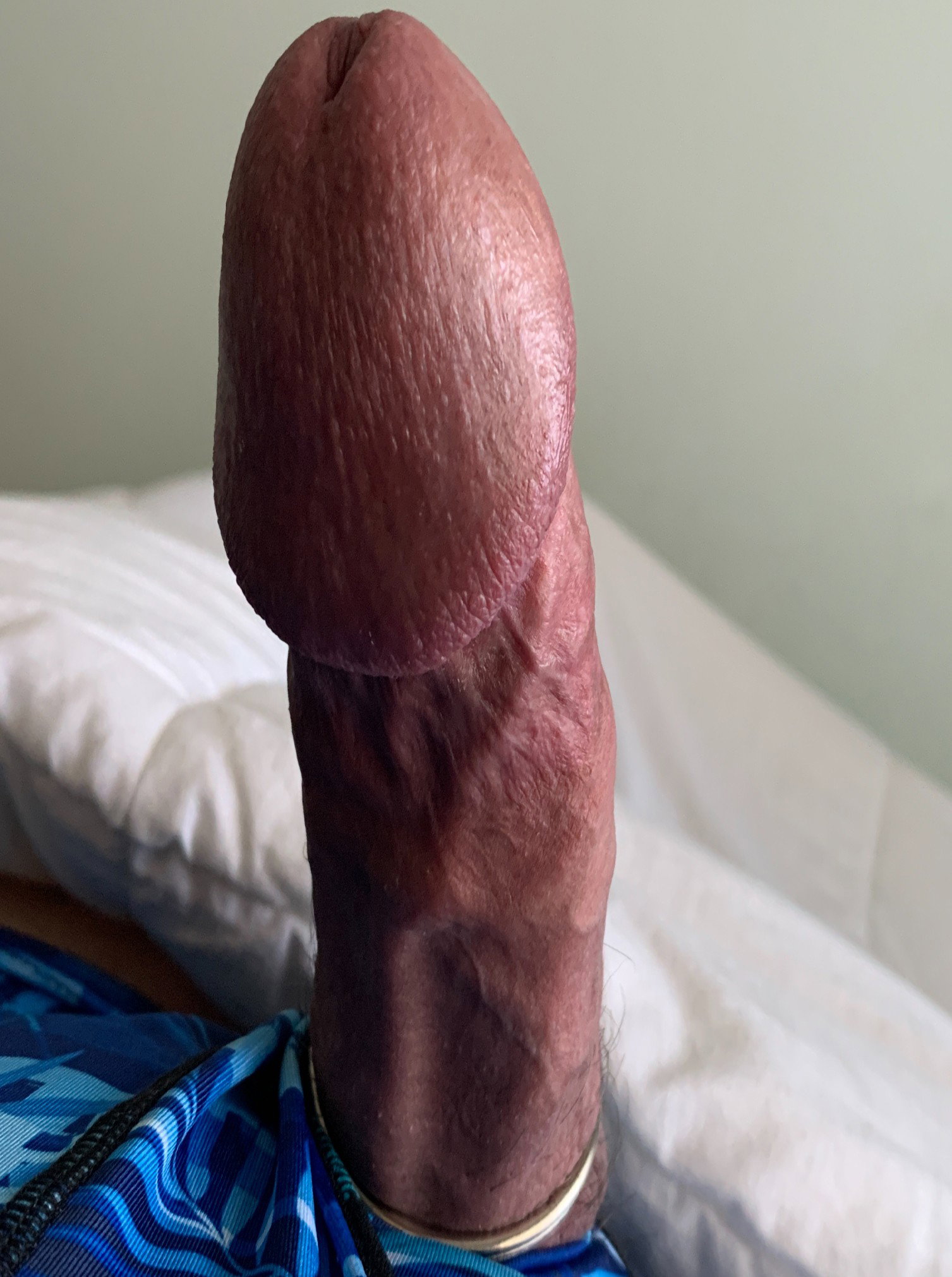 Photo by Danielio with the username @Danielio, who is a verified user,  May 9, 2020 at 10:13 PM. The post is about the topic Dicks for chicks and the text says '#erection #cockring'