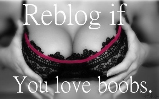 Photo by ZelihaWhore with the username @ZelihaWhore,  October 13, 2019 at 1:08 AM. The post is about the topic Bra/Panty/Lingerie/Bikini and the text says 'I love boobs. Follow me if you want to see more of me #ZelihaWhore'