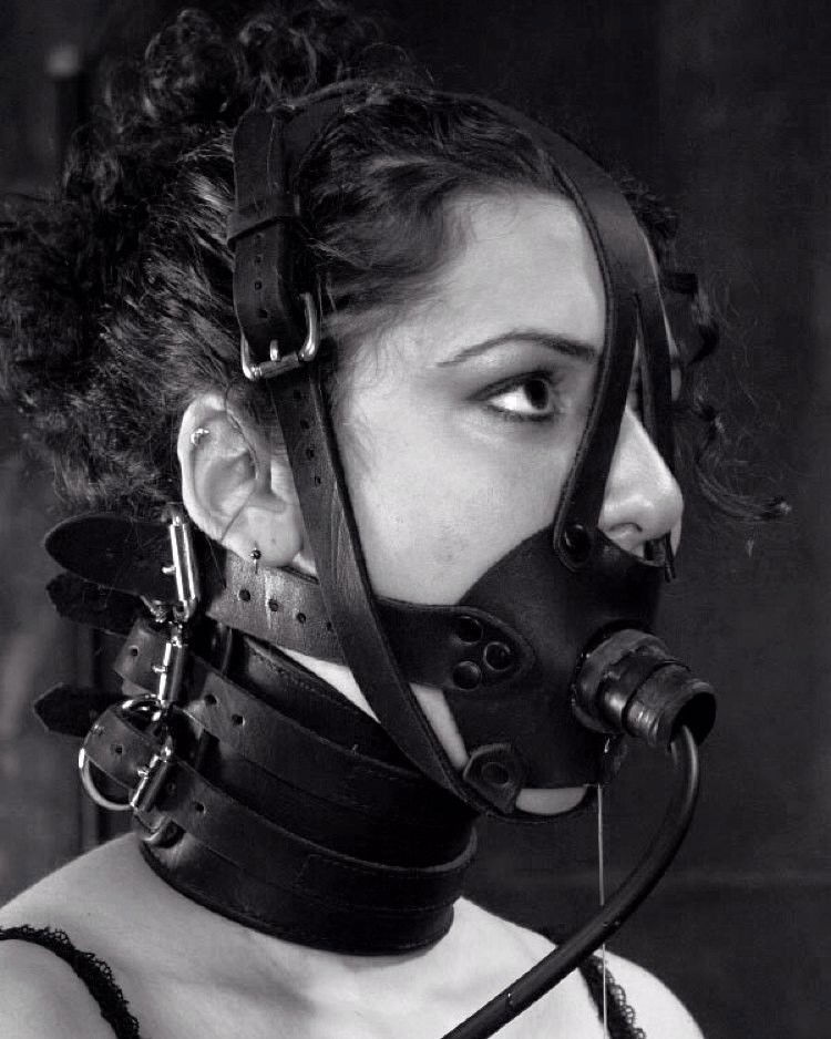 Photo by Dominance by Design with the username @DxD,  February 21, 2018 at 2:00 AM and the text says 'A strict collar, a head harness, and an inflatable gag perfectly combined.DxD #collar  #strict  #collar  #head  #harness  #gag  #inflatable  #gag'