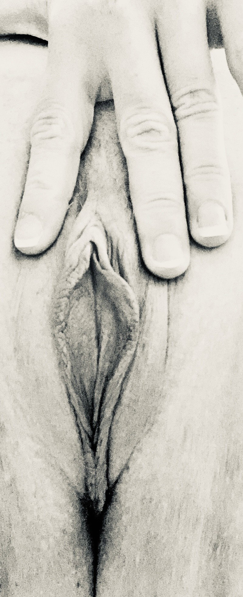 Watch the Photo by OneGentlemanOfVerona with the username @OneGentlemanOfVerona, posted on September 10, 2019. The post is about the topic Pussy.