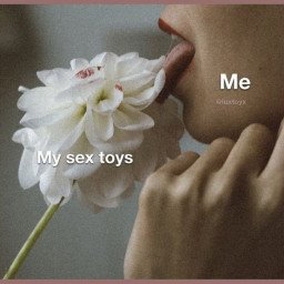 Photo by LuxuryToyX with the username @LuxuryToyX, who is a brand user,  January 6, 2022 at 5:42 PM. The post is about the topic Sex Toys and the text says 'Love Us Some Toys!'